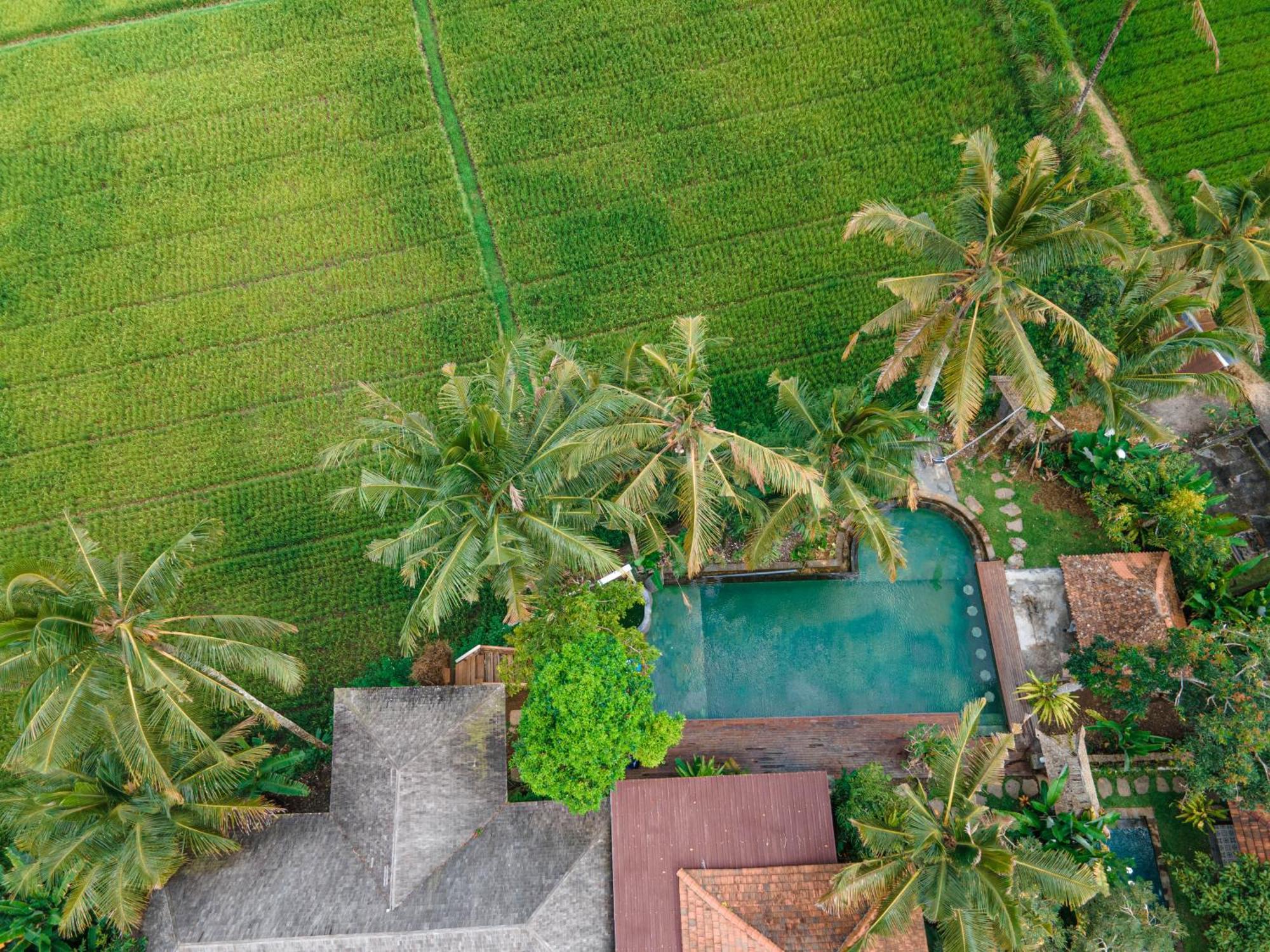 Uma Linggah Resort By Puri Signatures Tampaksiring Buitenkant foto